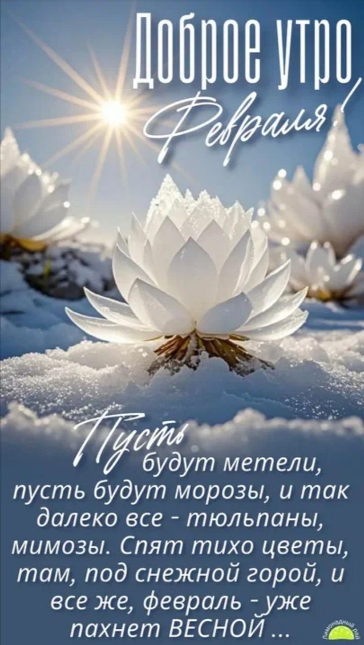 Доброе утро, Февраль! Пусть будут метели, пусть будут морозы, и так далеко все — тюльпаны, мимозы. Спят тихо цветы, там, под снежной горой, и все же, февраль — уже пахнет весной ...