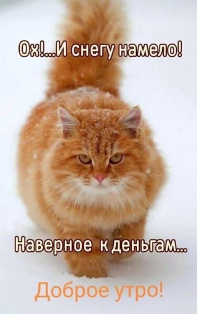 Ох!... И снегу намело! Наверное к деньгам... Доброе утро!