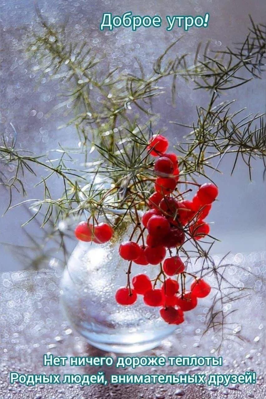 Доброе утро!\nНет ничего дороже теплотЫ Родных людей, внимательных друзей!