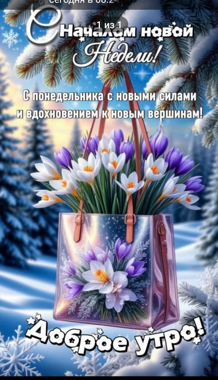 С началом новой Недели! 1 из 1 С понедельника с новыми силами и вдохновением к новым вершинам! Доброе утро!