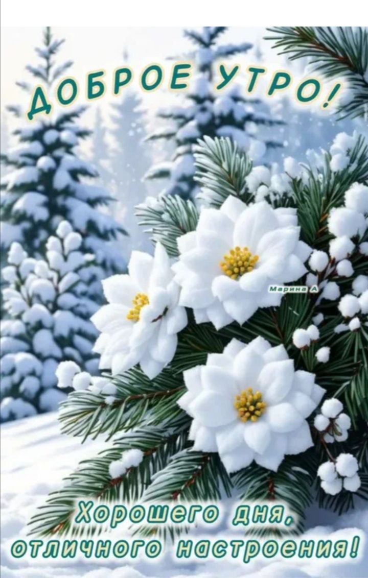 Доброе утро! Хорошего дня, отличного настроения!