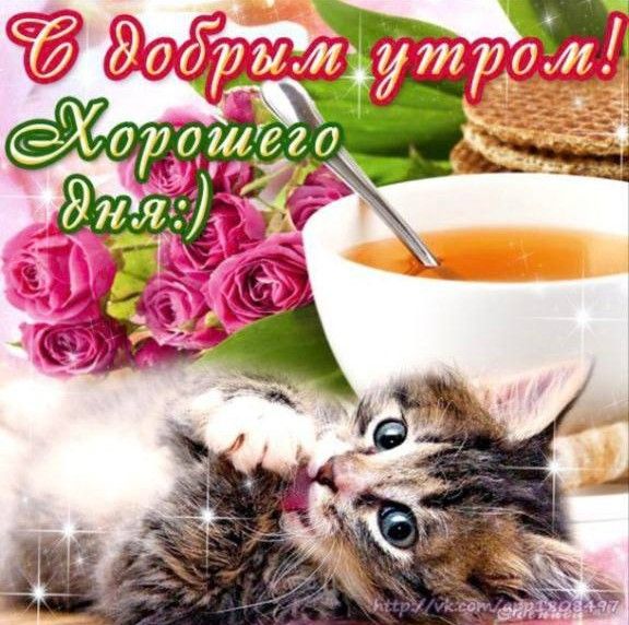 С добрым утром! Хорошего дня)