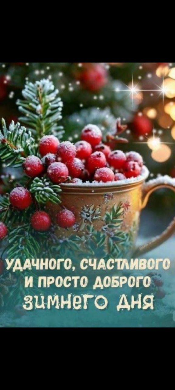 УДАЧНОГО, СЧАСТЛИВОГО И ПРОСТО ДОБРОГО ЗИМНЕГО ДНЯ