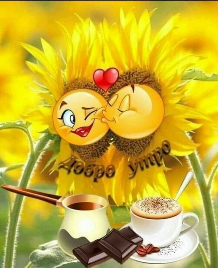 Доброе утро