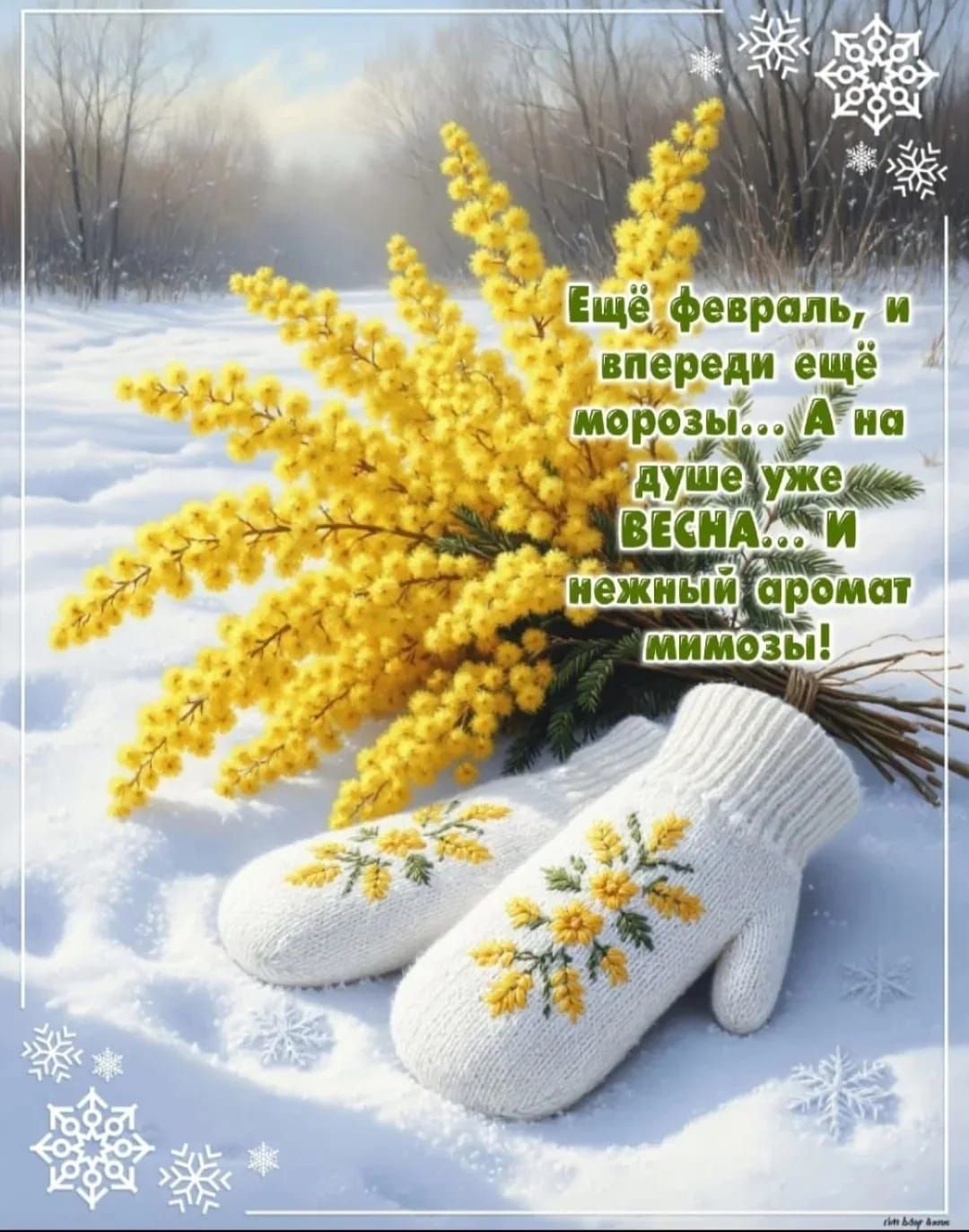 Ещё февраль, и впереди ещё морозы... А на лучше уже весна... И нежный аромат мимозы!