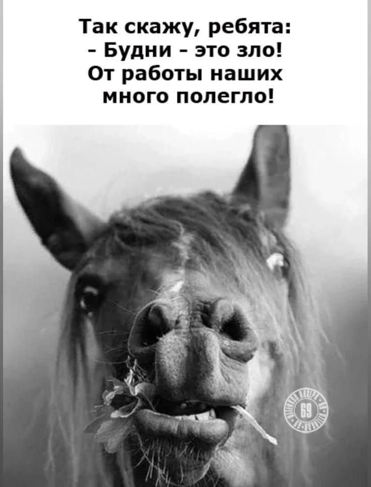 Так скажу, ребята:\n- Будни - это зло! От работы наших много полегло!