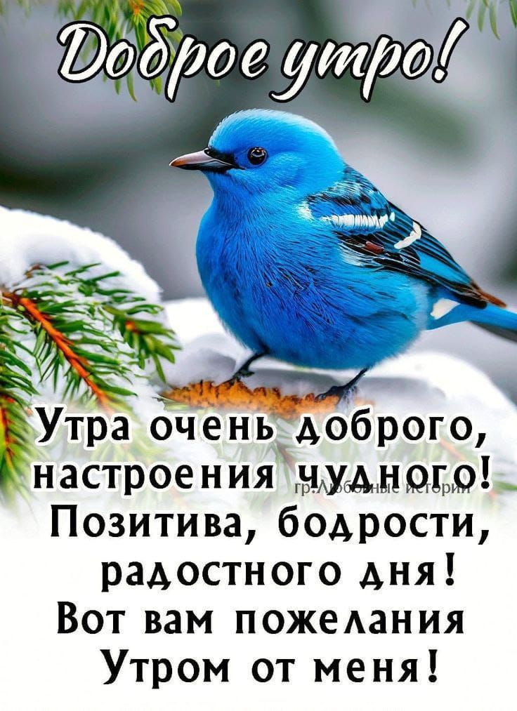 Доброе утро! Утро очень доброго, настроения чудного! Позитива, бодрости, радостного дня! Вот вам пожелания Утром от меня!
