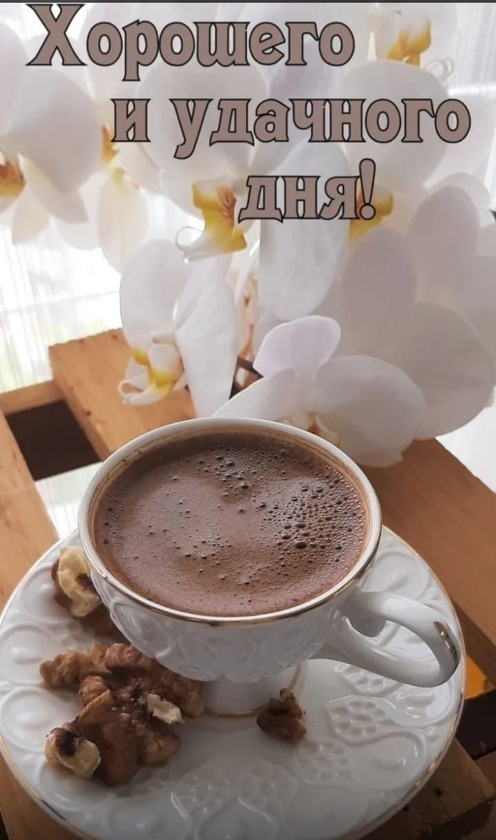 Хорошего и удачного дня!