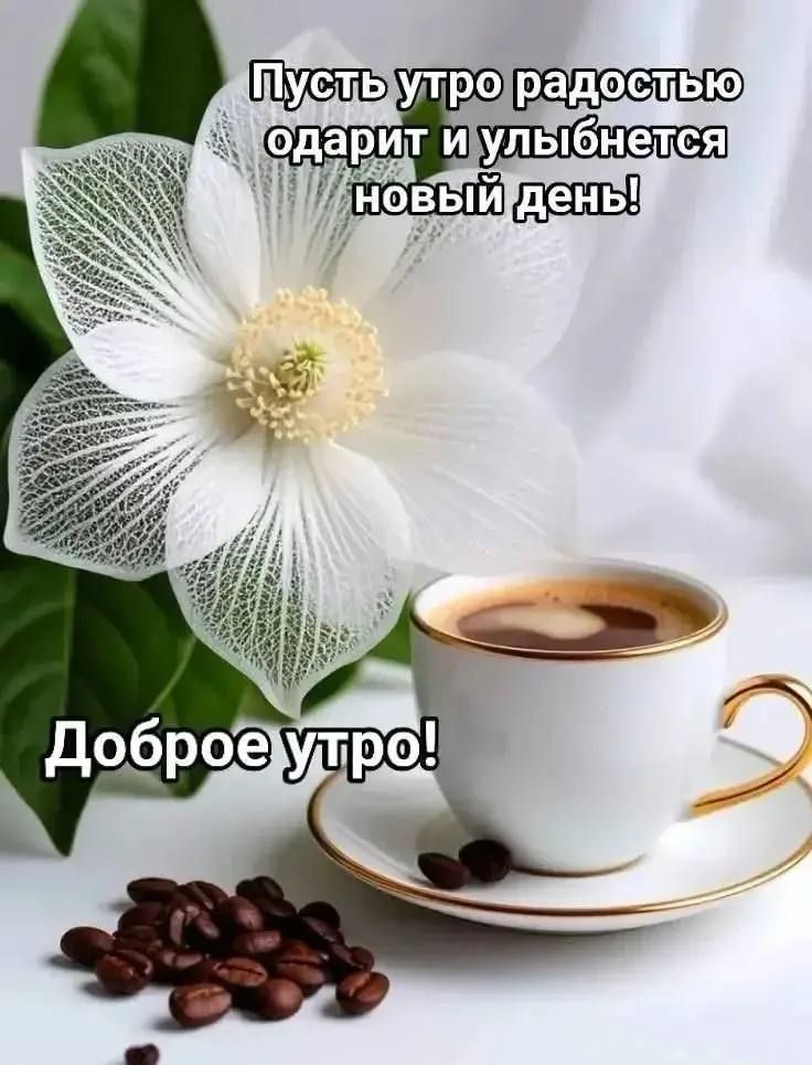 Пусть утро радостью одарит и улыбнется новый день! Доброе утро!