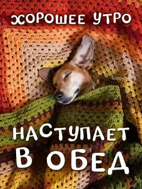 ХОРОШЕЕ УТРО
НАСТУПАЕТ В ОБЕД