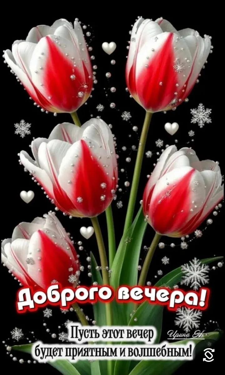 Доброго вечера! Пусть этот вечер будет приятным и волшебным!