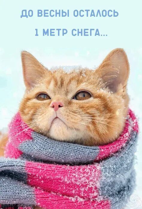 ДО ВЕСНЫ ОСТАЛОСЬ 1 МЕТР СНЕГА...