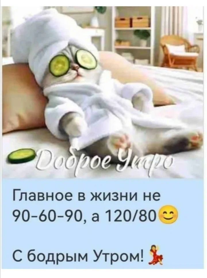 Доброе Утро
Главное в жизни не 90-60-90, а 120/80 😊
С бодрым Утром!
