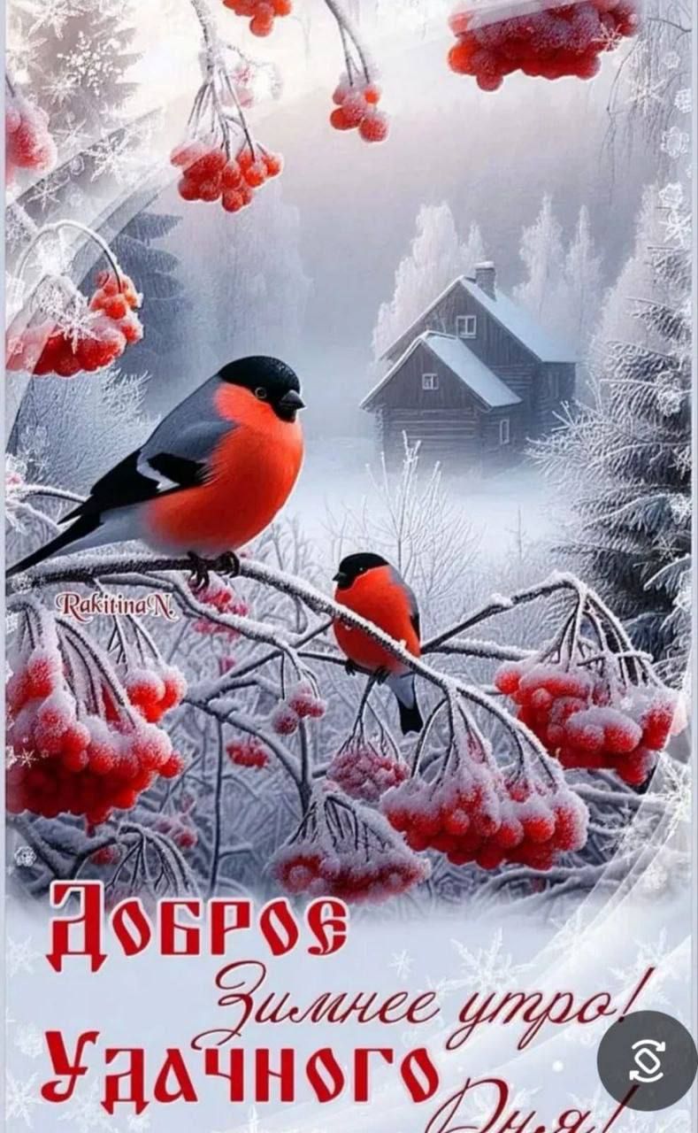 Доброе зимнее утро! Удачного дня