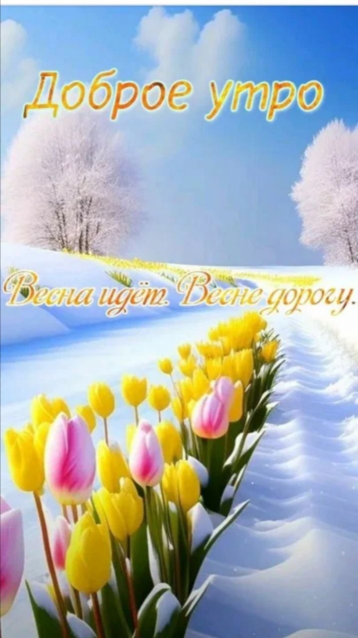 Доброе утро
Весна идёт. Весне дорогу.