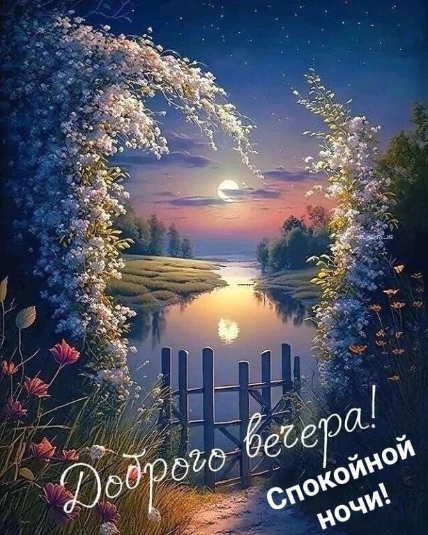 Доброе вечера! Спокойной ночи!