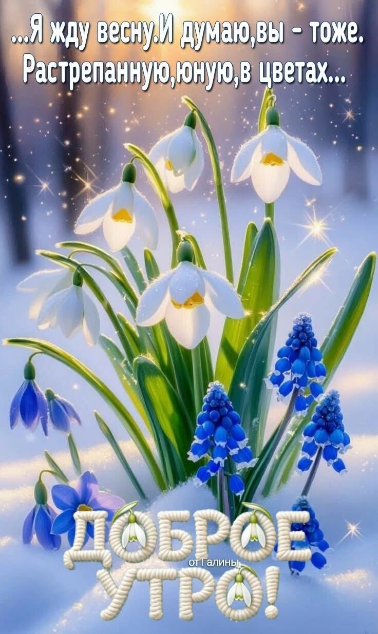 Я жду весну. И думаю, вы - тоже. Расстрепанную, юную, в цветах... ДОБРОЕ УТРО!