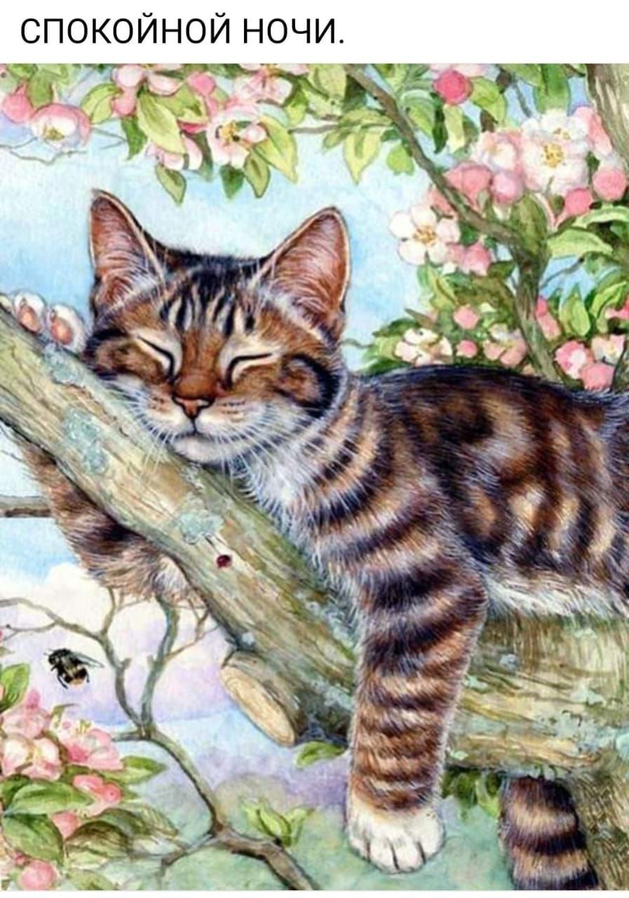 СПОКОЙНОЙ НОЧИ.