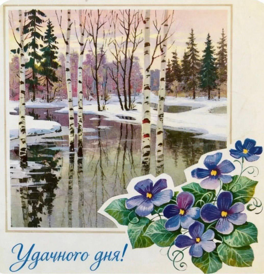 Удачного дня!