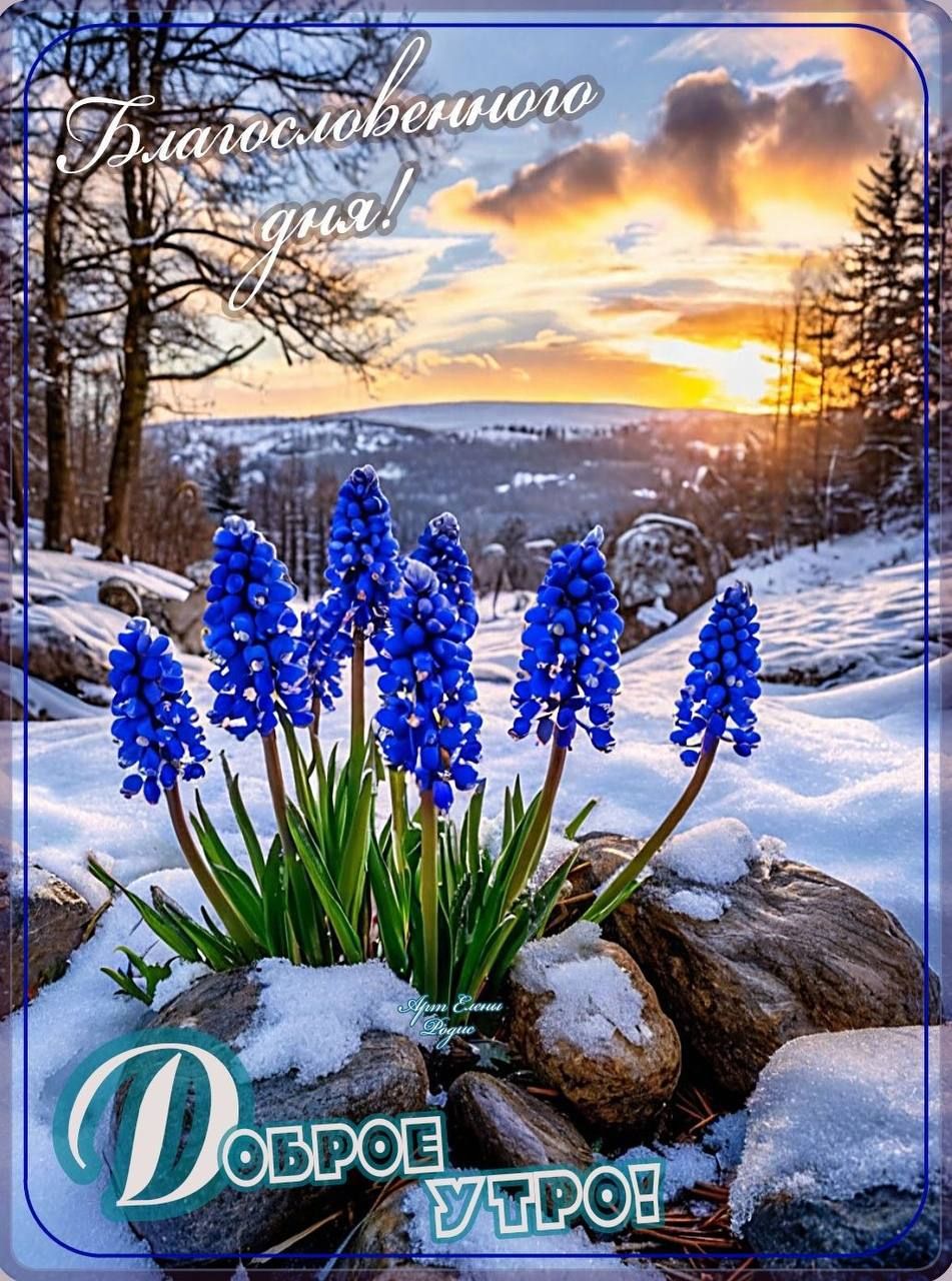Благословенного дня!\nДоброе утро!
