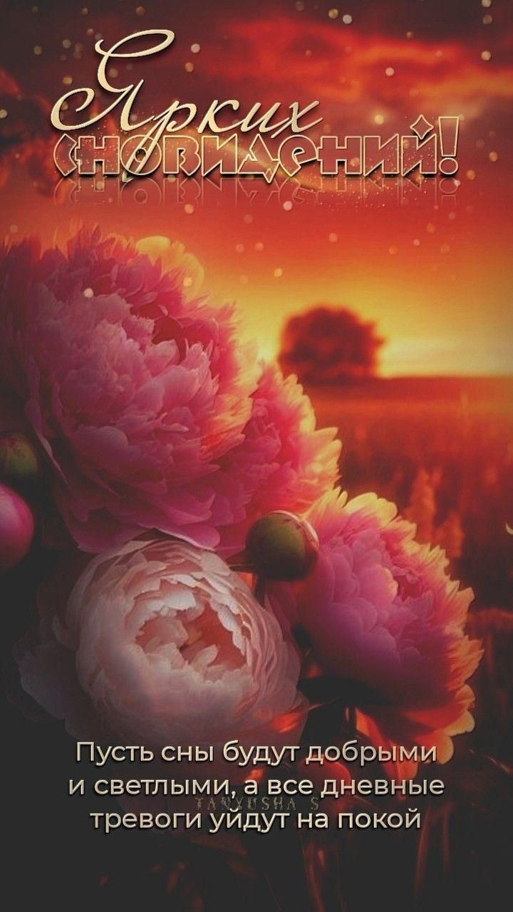 Ярские новидения! Пусть сны будут добрыи и светлыми, а все дневные тревоги уйдут на покой