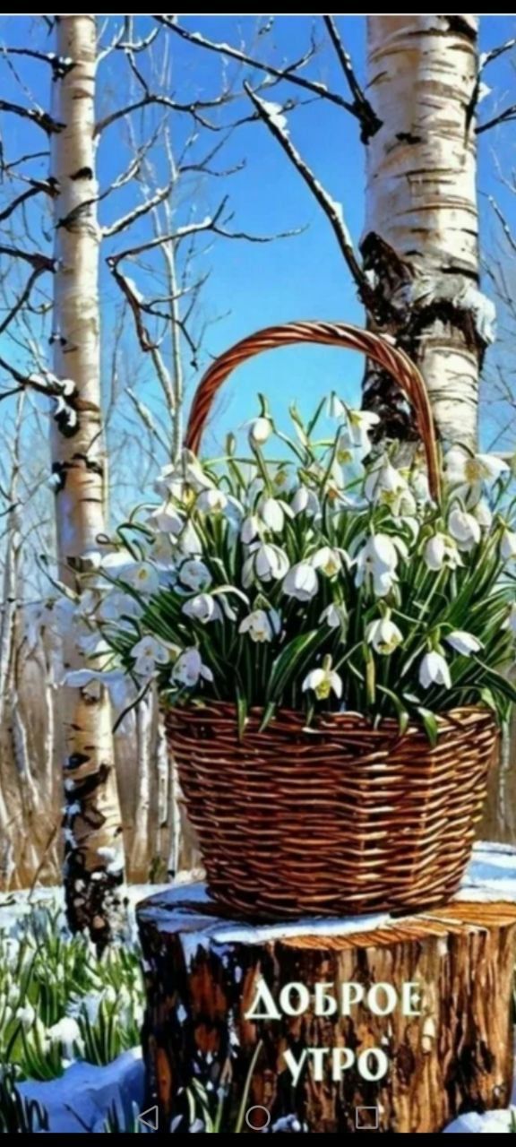 Доброе утро