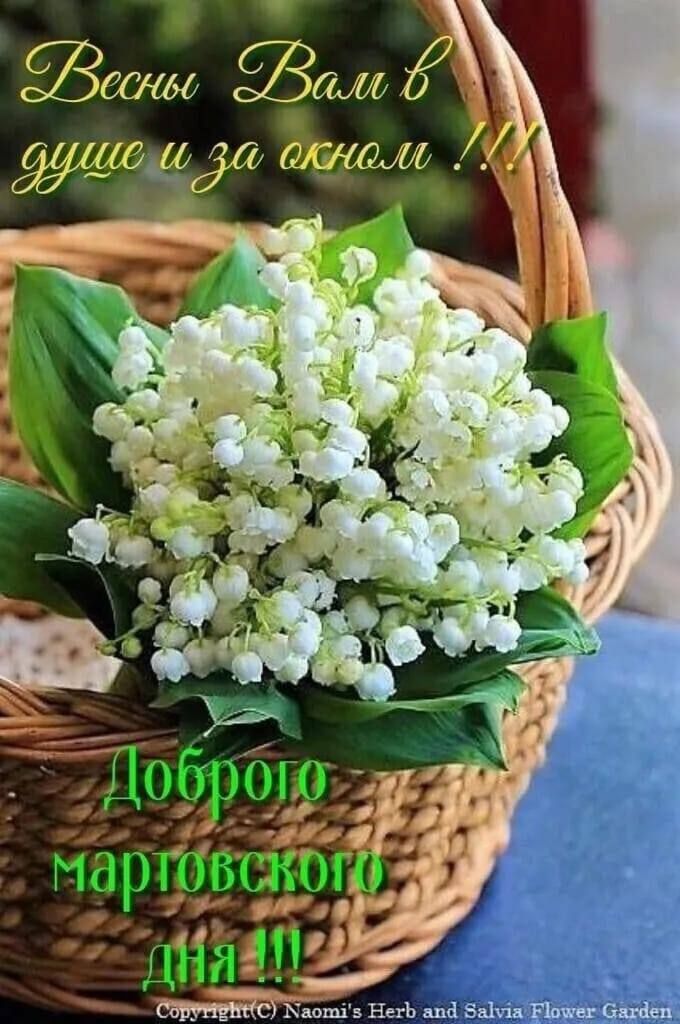 Весны вам в душе и за окном !!! Доброго мартовского дня!!!