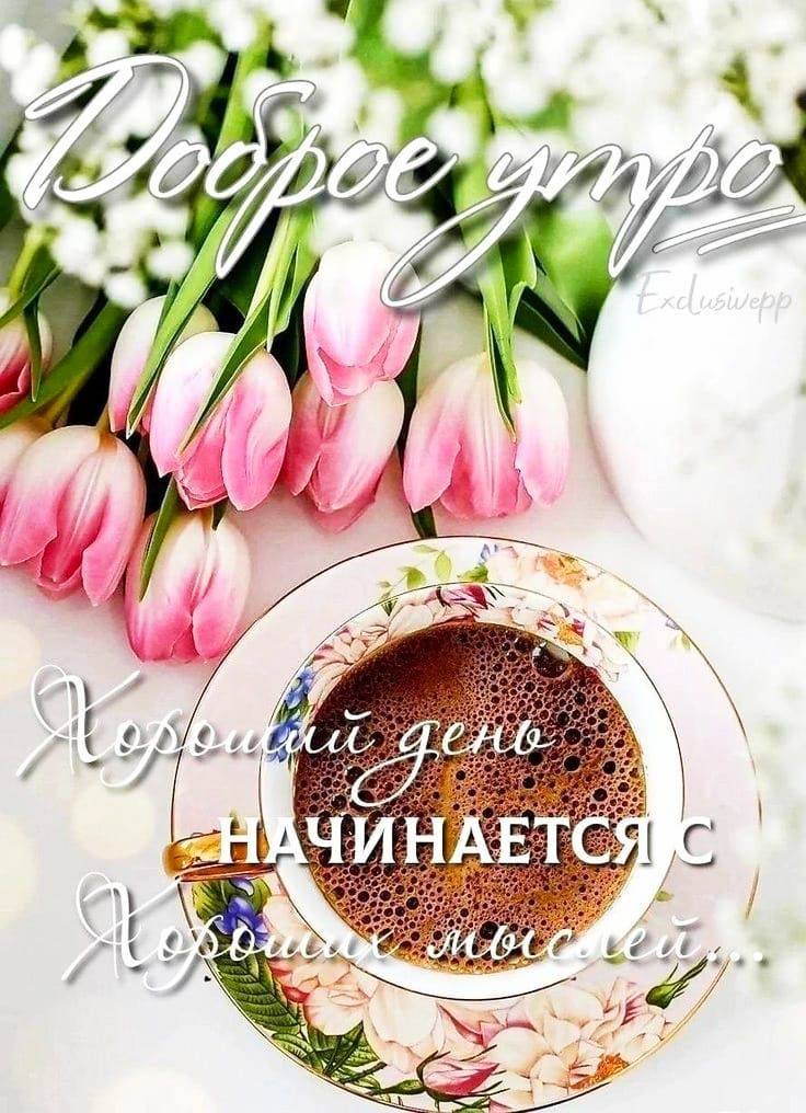 Доброе утро. Первый день начинается. Любимый мой...