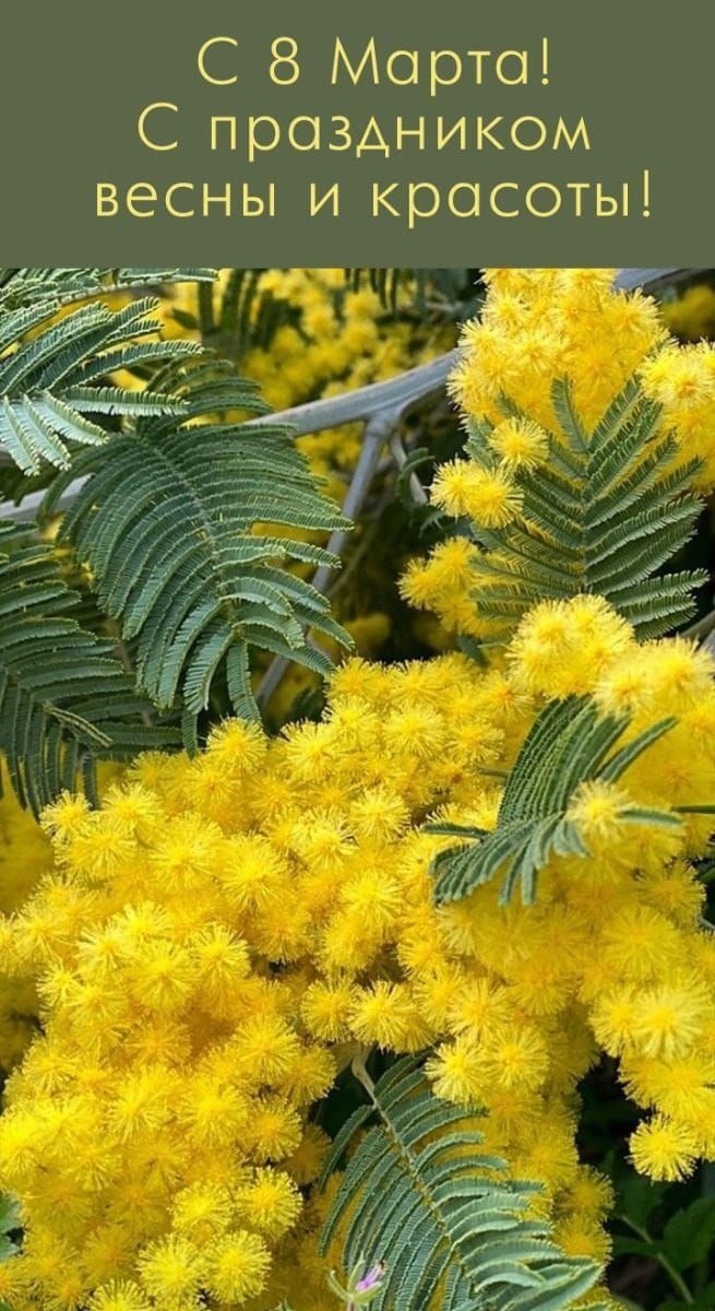 С 8 Марта! С праздником весны и красоты!
