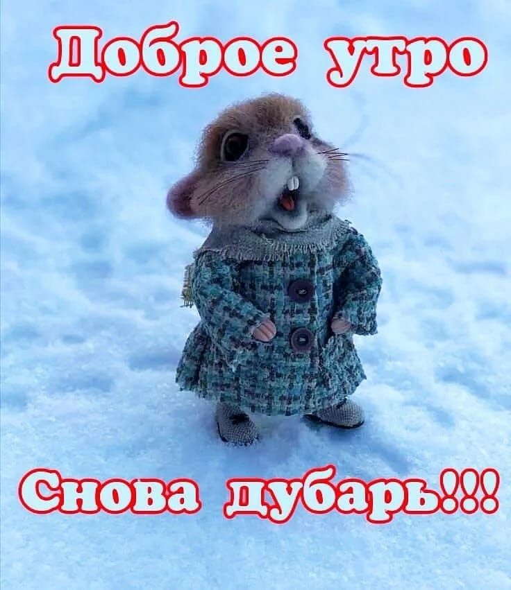 Доброе утро
Снова дубарь!!!