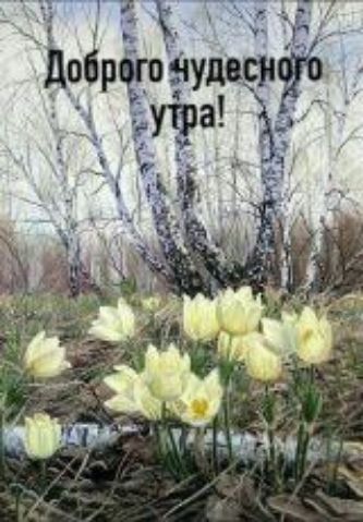 Доброго чудесного утра!