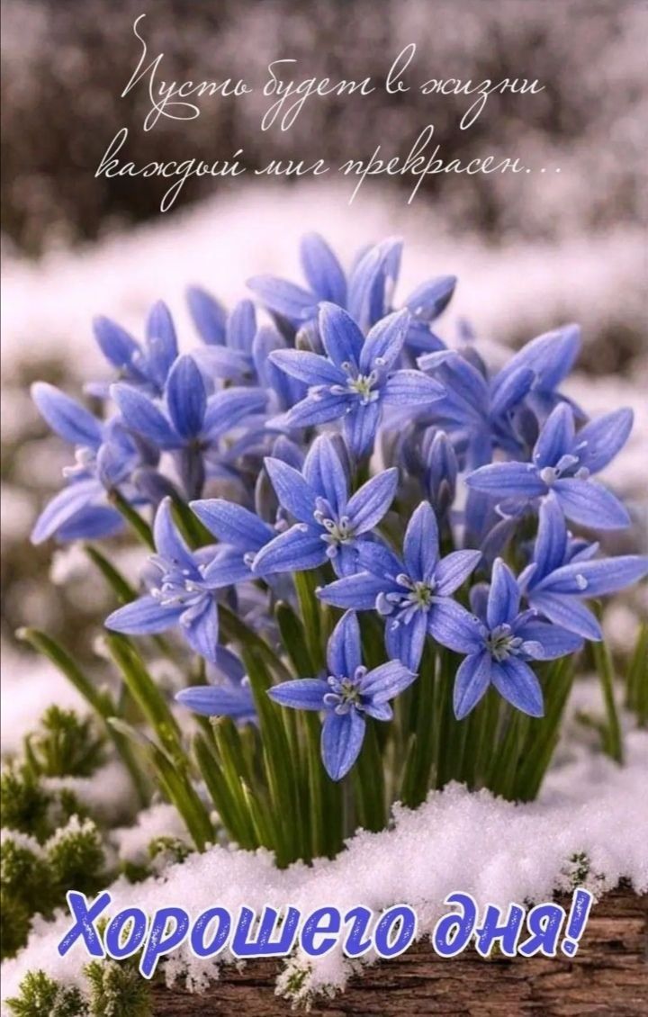 Пусть будет в жизни каждый миг прекрасен... Хочуного дня!