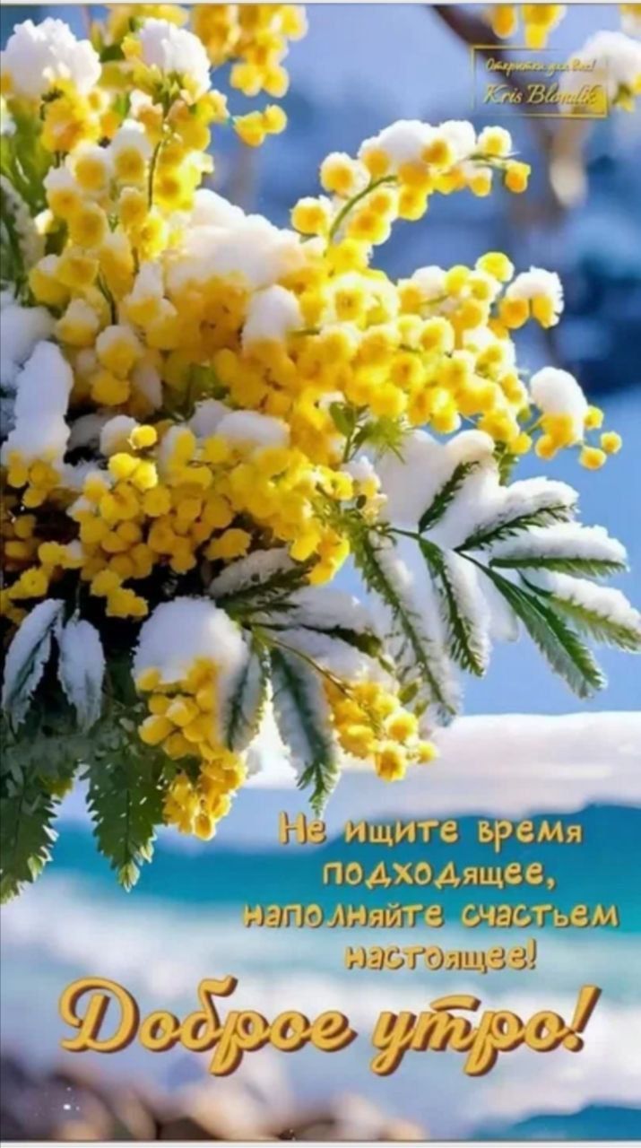 Не ищите время подходящее, найдите счастьем настоящее! Доброе утро!