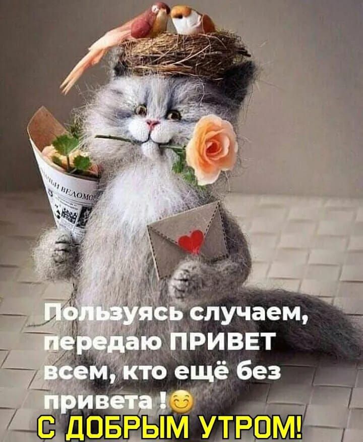 Пользуясь случаем, передаю ПРИВЕТ всем, кто ещё без приветa! 😊 С ДОБРЫМ УТРОМ!