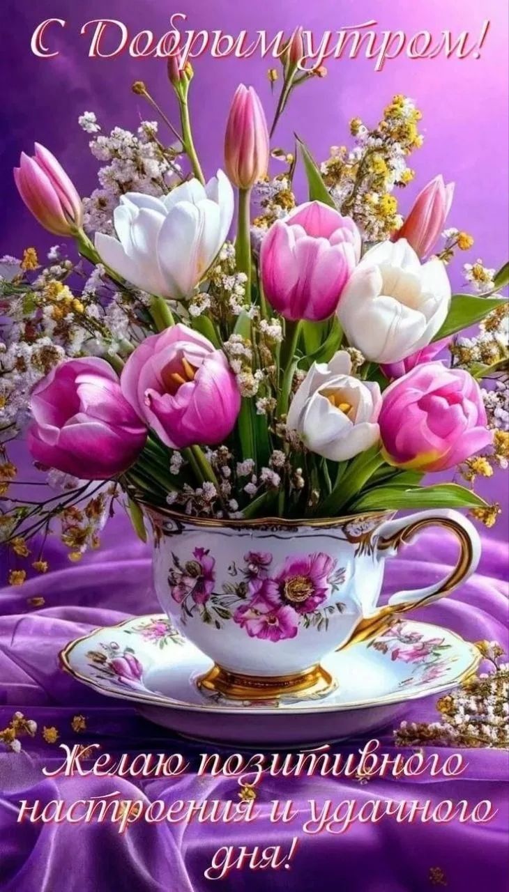 С Добрым утром!
Желаю позитивного настроения и удачного дня!