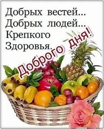 Добрых вестей... Добрых людей... Крепкого здоровья. Доброго дня!