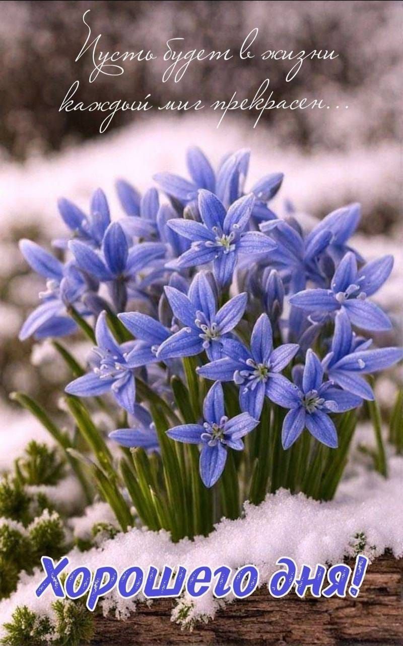 Пусть будет в жизни каждый миг прекрасен...\nХорошего дня!