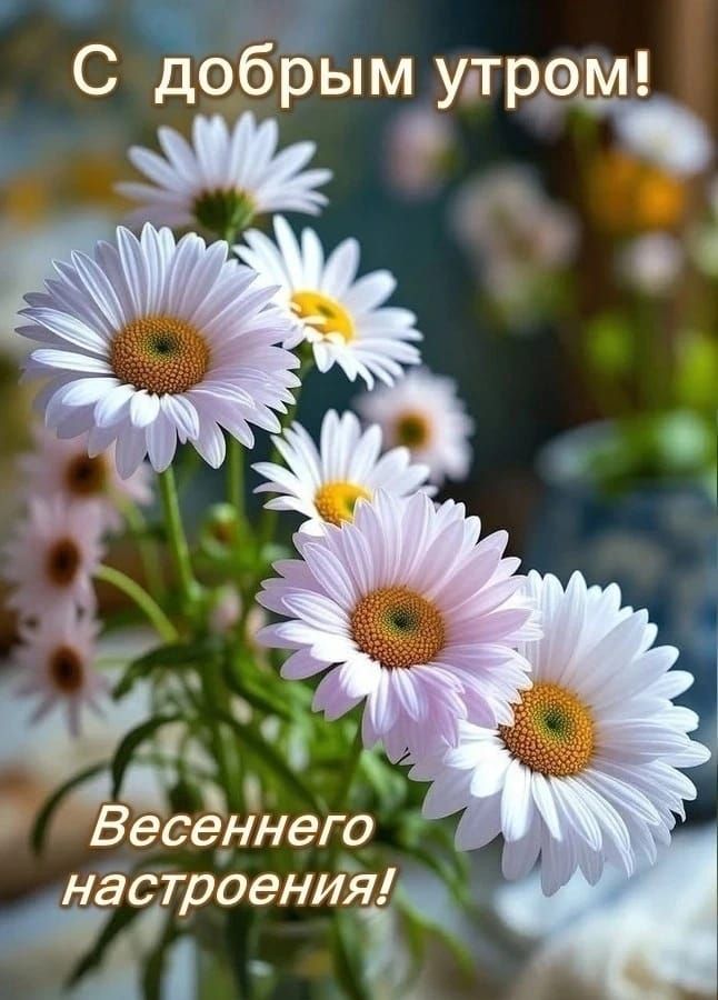 С добрым утром!
Весеннего настроения!