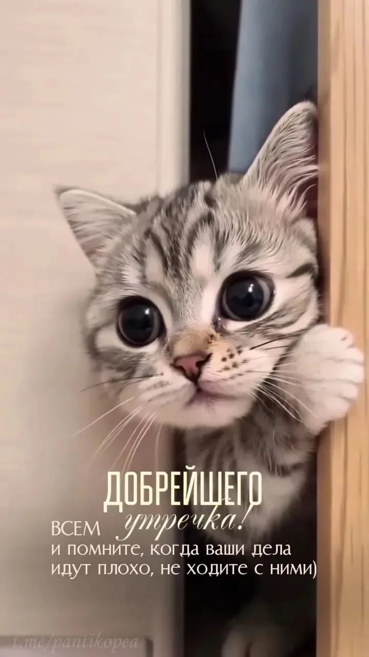 Добрейшего всем утречка! и помните, когда ваши дела идут плохо, не ходите с ними)