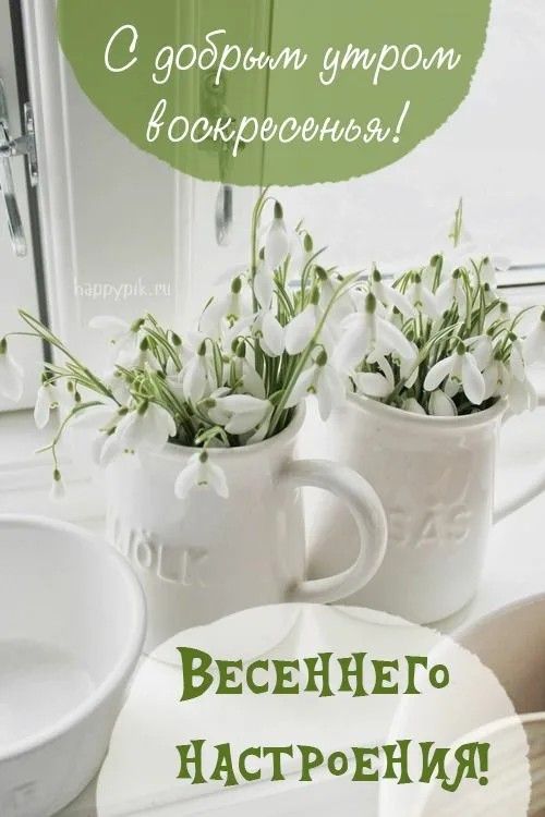 С добрым утром воскресенья!
Весеннего настроения!