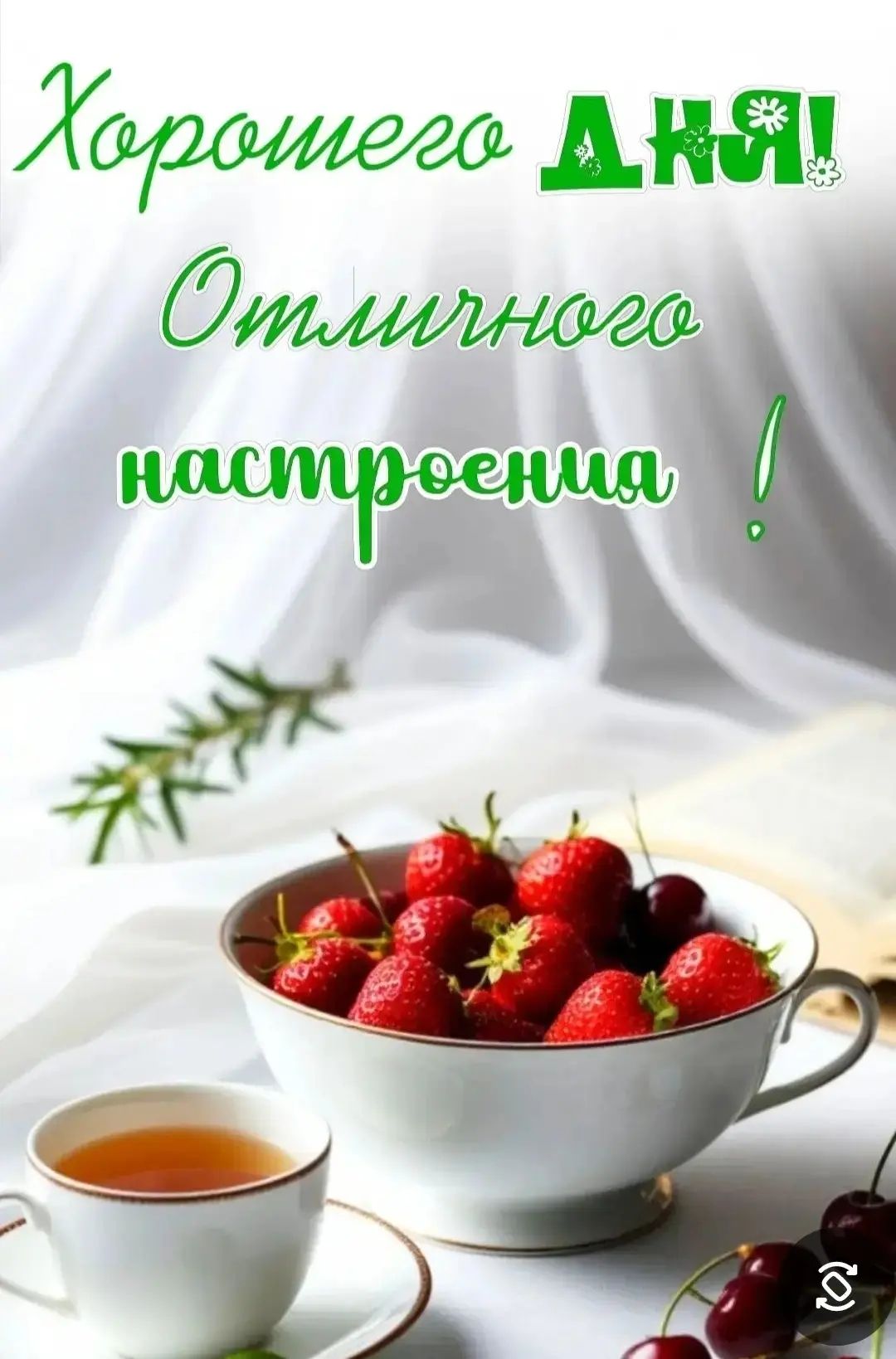 Хорошего дня! Отличного настроения!