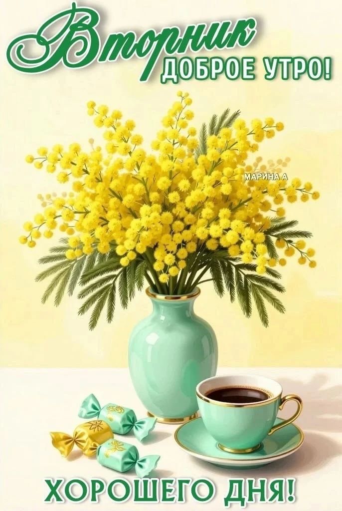 Вторник доброе утро! Хорошего дня!