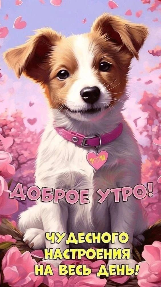 ДОБРОЕ УТРО! ЧУДЕСНОГО НАСТРОЕНИЯ НА ВЕСЬ ДЕНЬ!