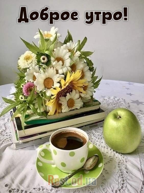 Доброе утро!