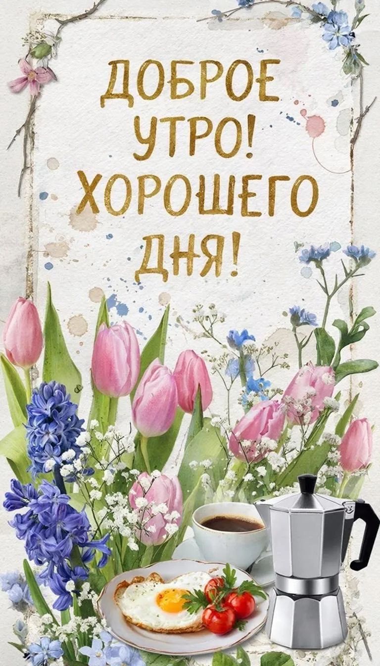ДОБРОЕ УТРО! ХОРОШЕГО ДНЯ!