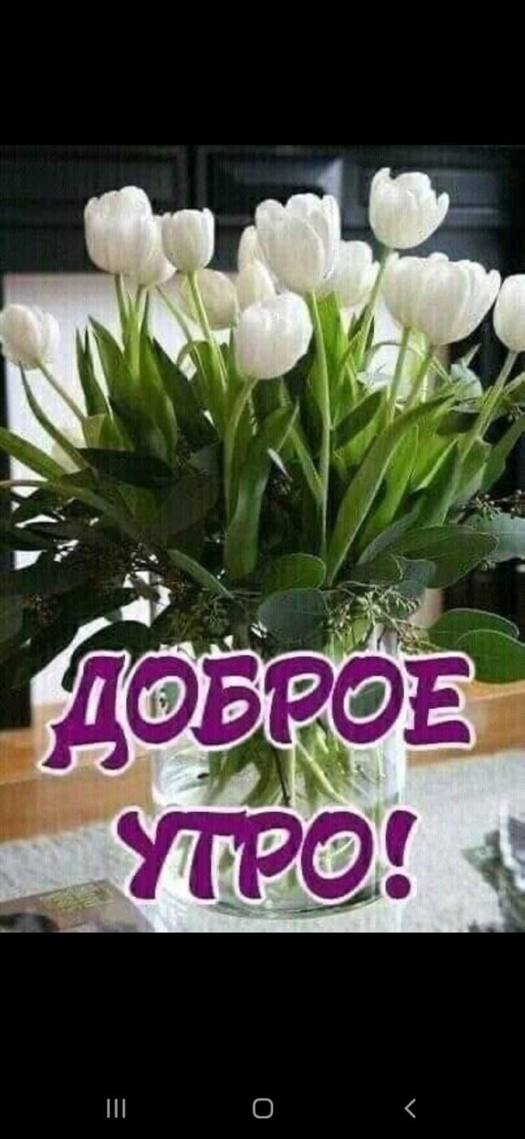 ДОБРОЕ УТРО!