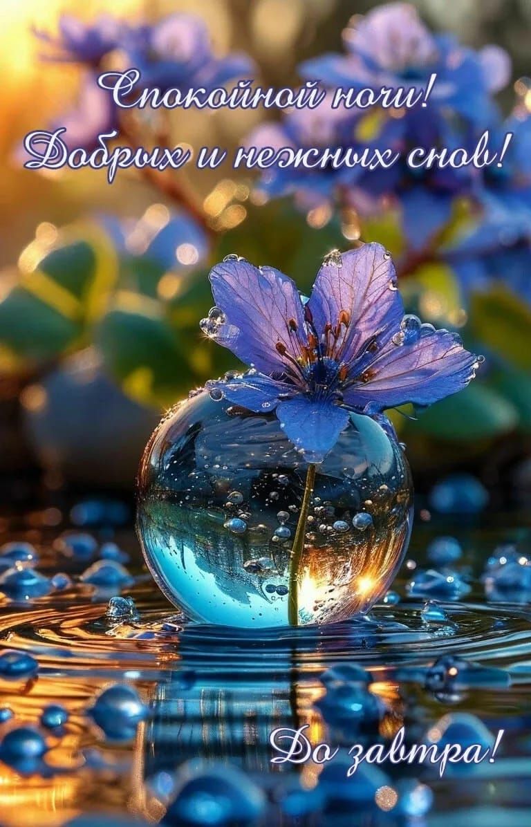 Спокойной ночи! Добрых и нежных снов! До завтра!