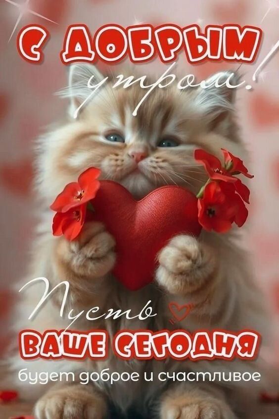 С добрым утром! Пусть ваше сегодня будет доброе и счастливое.