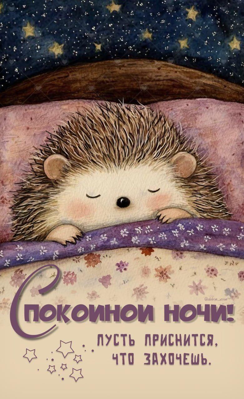 Спокойной ночи! Пусть приснится, что захочешь.