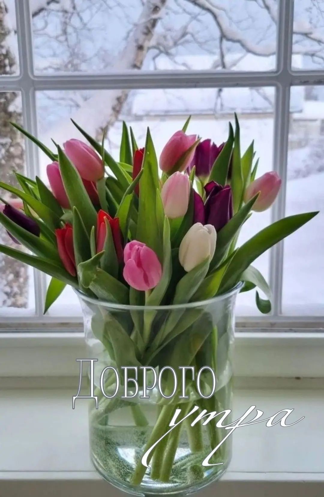 Доброго утра